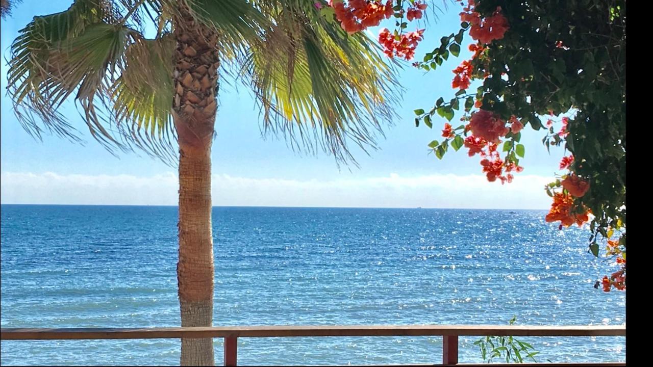 Mi Capricho 3-5 Beachfront- Apartment With Sea Views In Costa Del Sol Sitio de Calahonda Ngoại thất bức ảnh